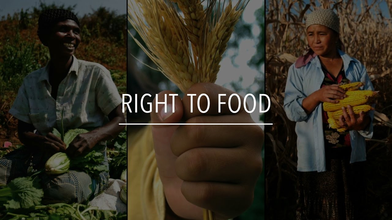 International Workshop on ‘Right to Food’ Underway in Nepal