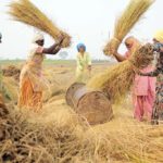 UNDP Program to Benefit 14, 000 Nepali Farmers