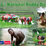 National Paddy Day