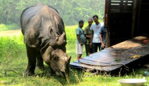 #SavingTheEndangered : Nepal Gifts Rhinos to Different Nations
