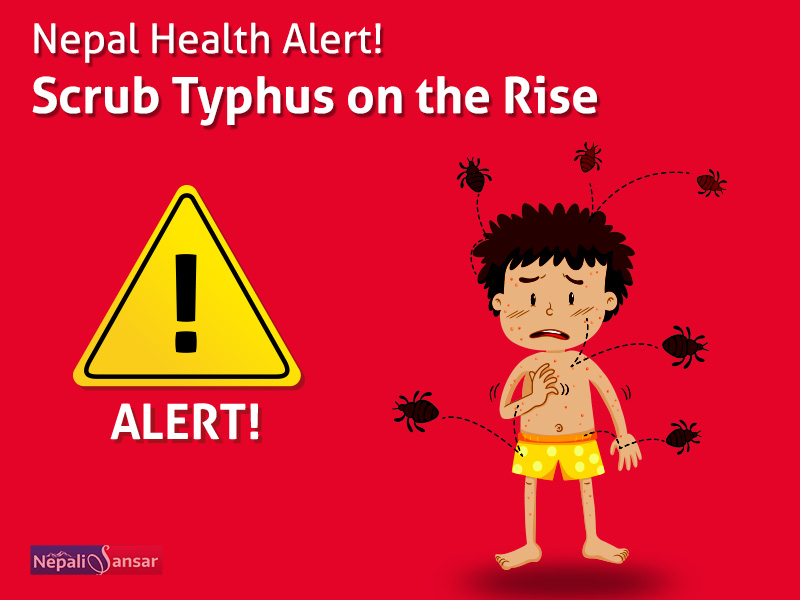 Nepal Health Alert! Scrub Typhus on the Rise