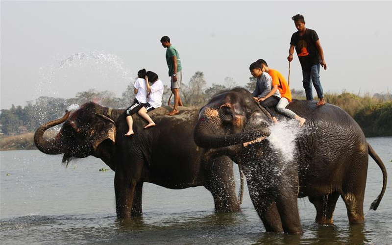 2018 Nepal Elephant Festival
