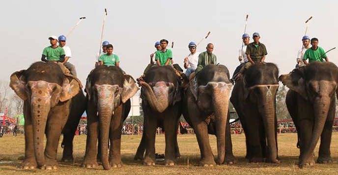 15-minute-long Nepal elephant football sport