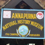 Pokharas Annapurna Butterfly Museum