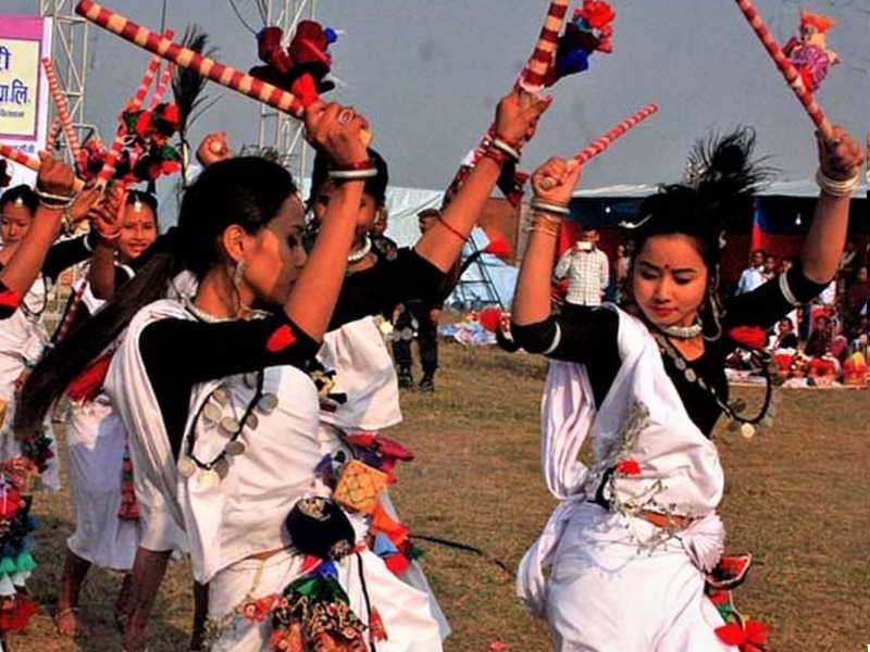 12th Chitwan Festival Begins, Promotes Visit Nepal 2020