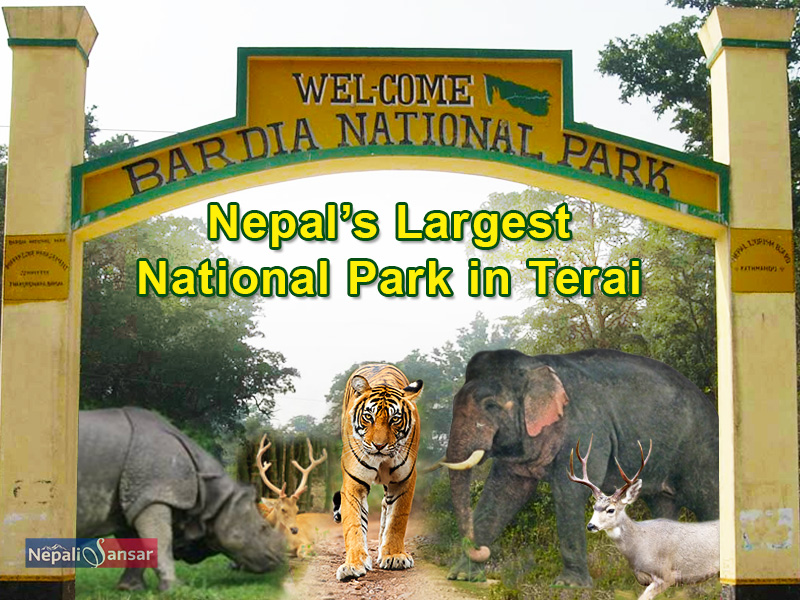 Nepal Bardia National Park Named as 'Global Top 100 Sustainable Destinations'