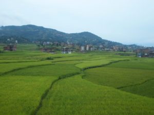 Nepal, UNDP Develop Agro Spending Tool for Effective Climate Impact Management