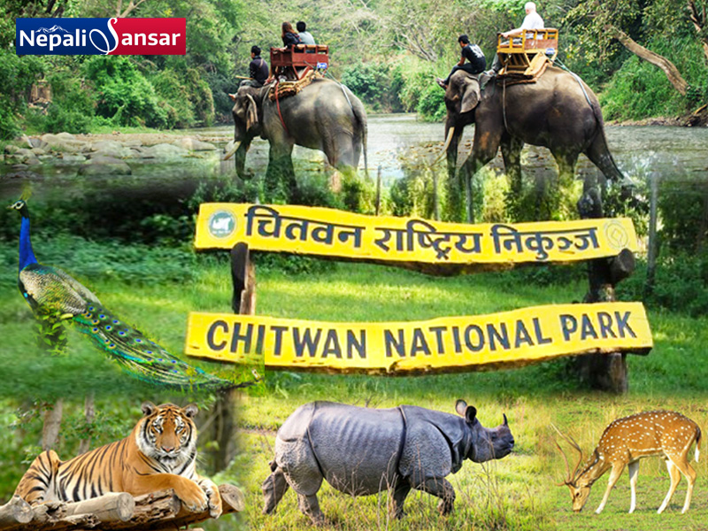 Chitwan National Park, Nepal