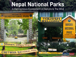 Nepal National Parks – A True Harmony of Nature & The Wildlife