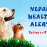 Nepal Health Alert Rabies on Rise
