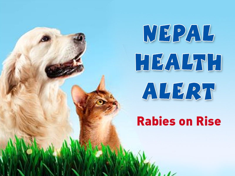 Nepal Health Alert: Rabies on Rise, Despite Government Commitment to End Epidemic by 2030