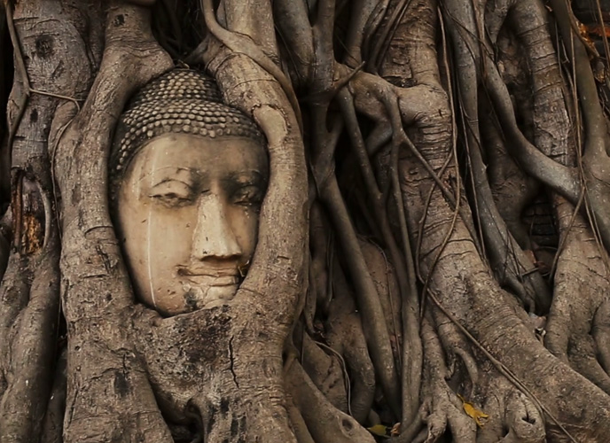 Ayutthaya Buddha Head