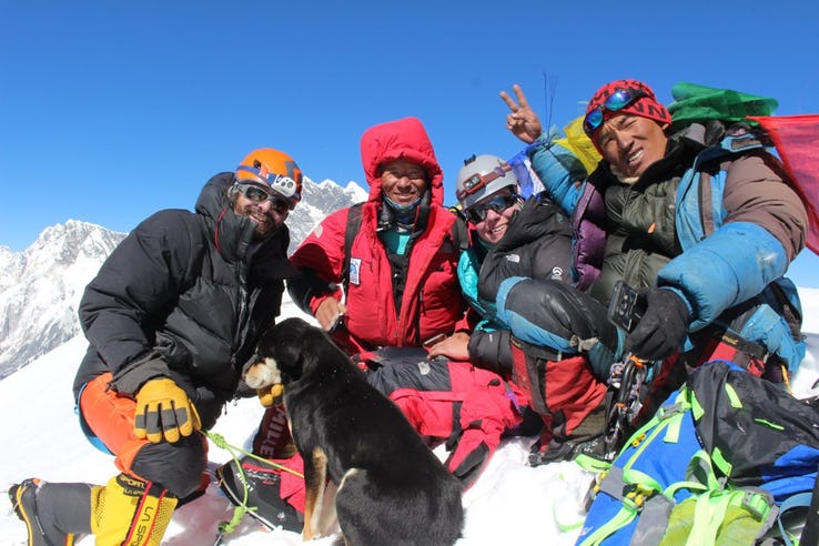 Dog Mera Crossed 7000mt Nepal Himalaya