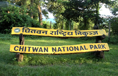 https://www.nepalisansar.com/wp-content/uploads/2019/04/Chitwan-national-park.jpg