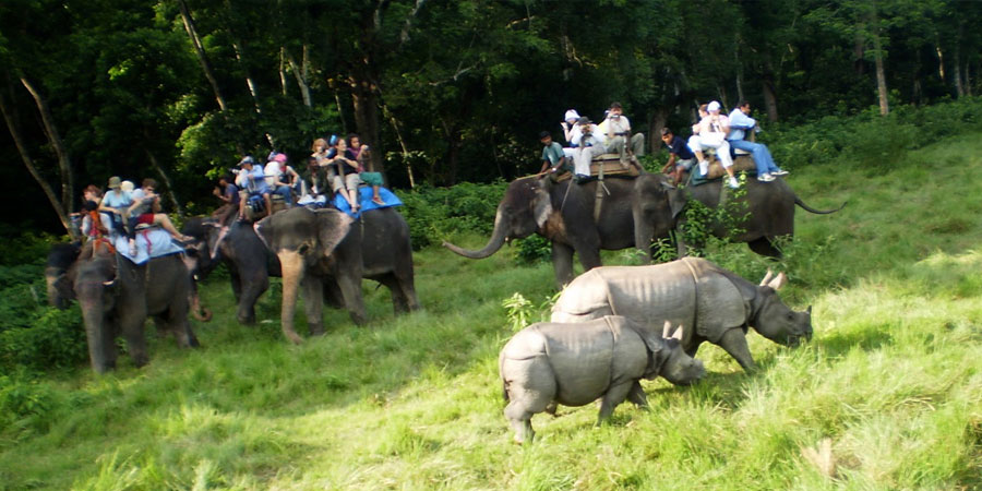 Nepal Visitors to Chitwan