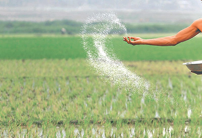 Nepal Buy Indian Chemical Fertilizers