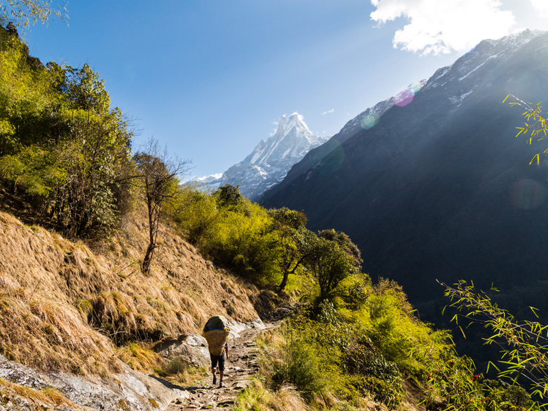 Walking A Scenic Trail Towards Mount Machapuchare Nepal