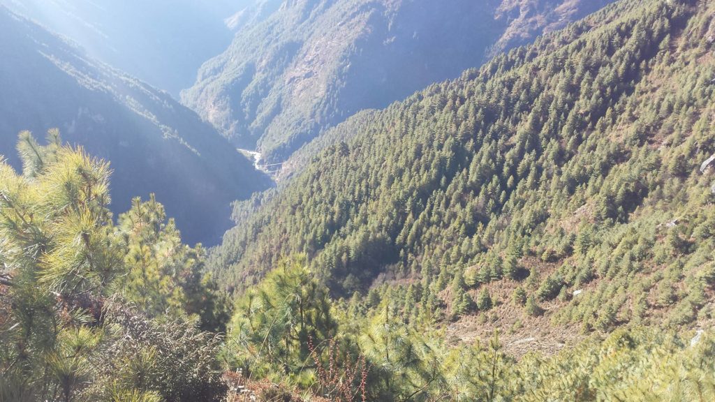 Nepal Reforestation Program