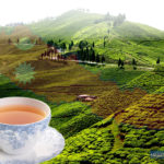 Tourist Attractions to Visit in Ilam