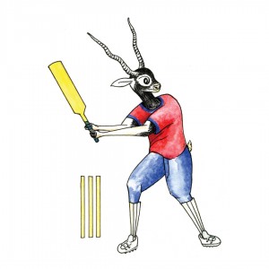 13th South Asian Games 2019 Cricket Mascot