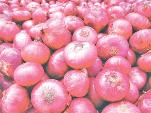 Nepalis Tear for Onions, ‘Record’ Prices at NPR 230/Kilo