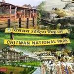 Nepali Tourism 2019: Foreign Arrivals to Chitwan Shrink