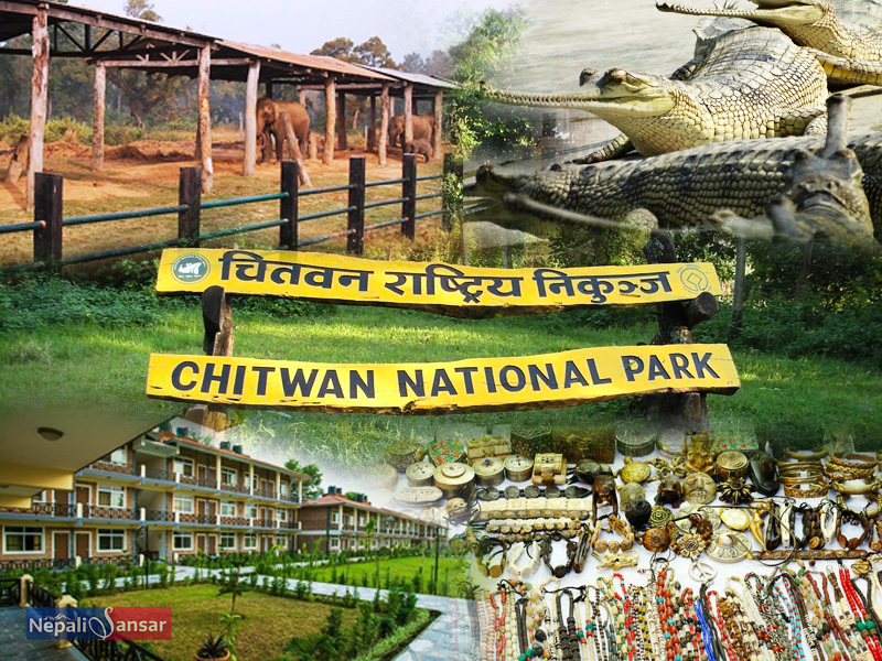 Nepali Tourism 2019: Foreign Arrivals to Chitwan Shrink