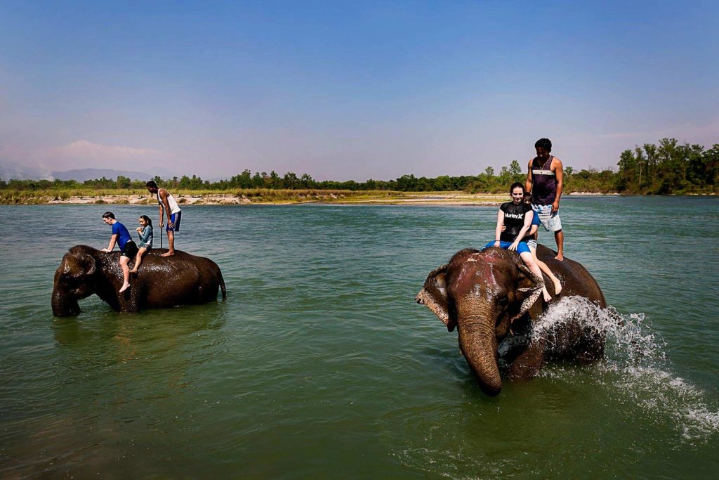 Tourism Agencies Have Eliminated Elephant Rides