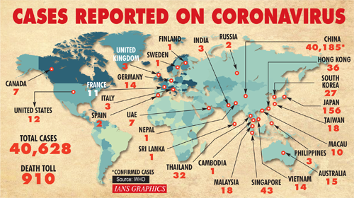 Cases Reported On Coronavirus Live Updates