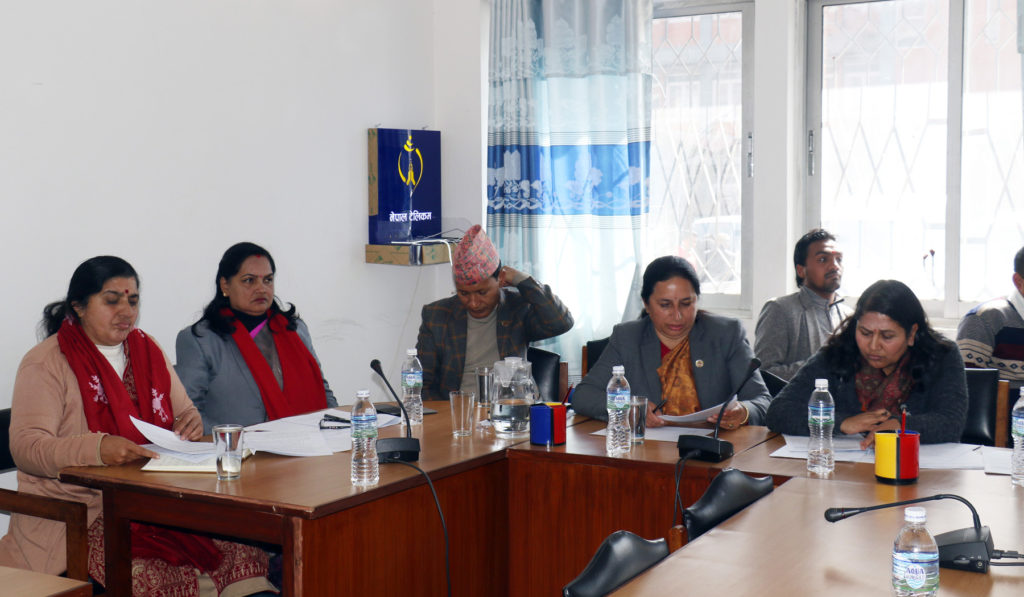 Nepal Education and Health Committee