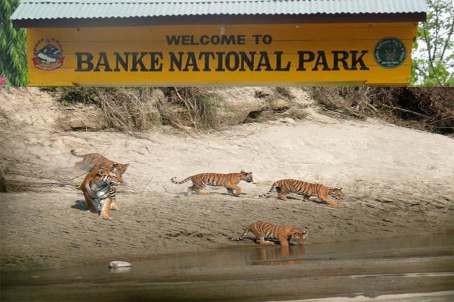 Banke National Park