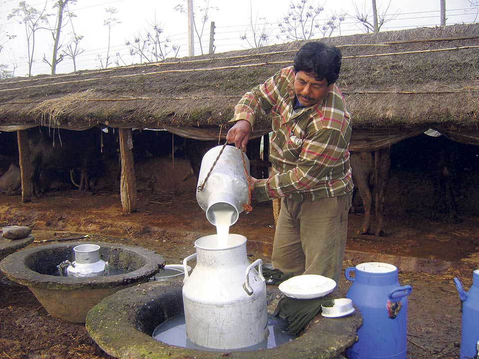 Nepal Dairy Business
