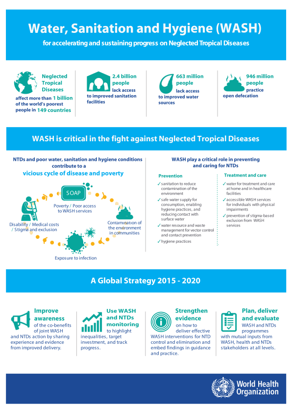 Water, Sanitation, and Hygiene (WASH) - Global Strategy 2015 to 2020