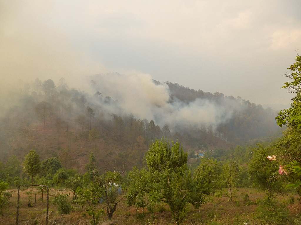 Forest Fires in Uttarakhand