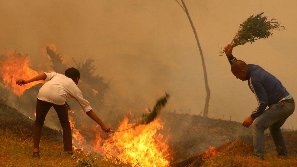 Local Communities Play a Crucial Role in Fighting Forest Fires