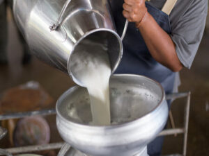 Nepal’s COVID-19 Curbs Trigger 1.9 Million Liters of Milk Wastage Daily