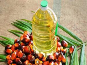 India to Restart Its Palm Oil Imports from Nepal