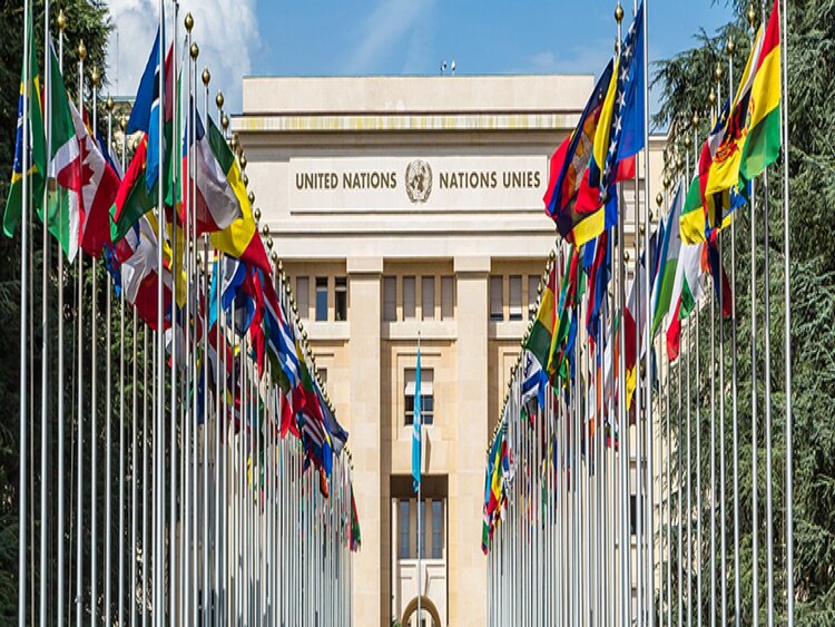 United Nation (UN)